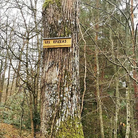 1 Terrasse Et Piscine 公寓 *