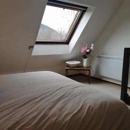 公寓 1 Terrasse Et Piscine Boersch