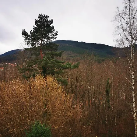 1 Terrasse Et Piscine Boersch
