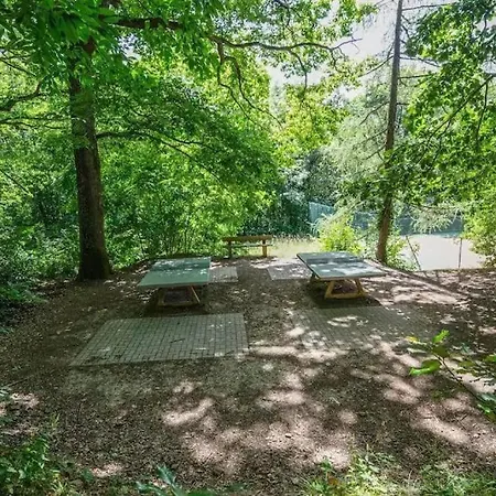 1 Terrasse Et Piscine *