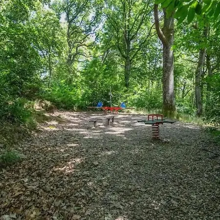 公寓 1 Terrasse Et Piscine