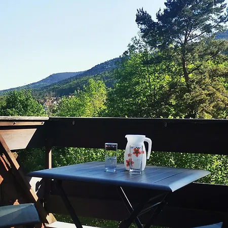 1 Terrasse Et Piscine