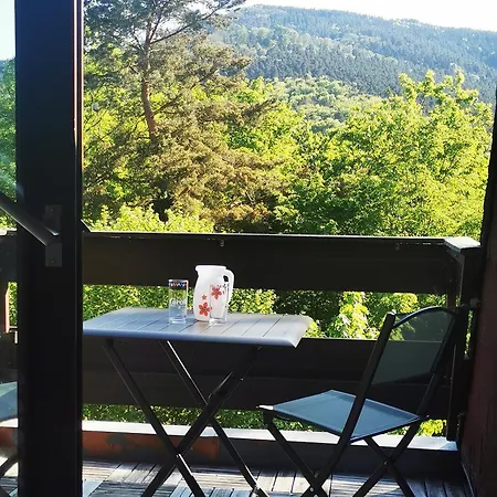 1 Terrasse Et Piscine 公寓 Boersch