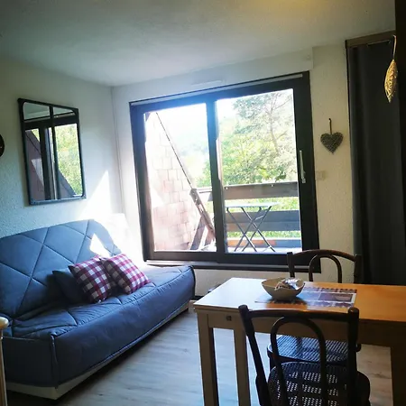 1 Terrasse Et Piscine * ベルシュ