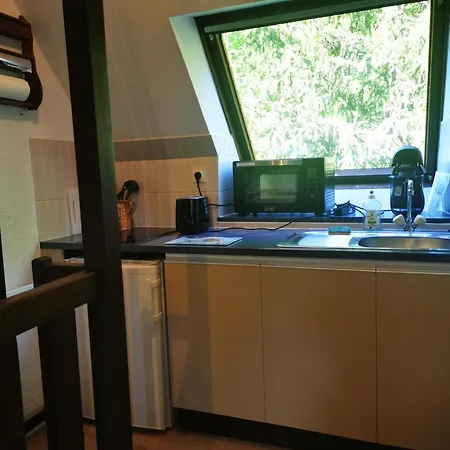 1 Terrasse Et Piscine * Boersch