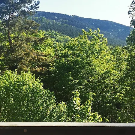 1 Terrasse Et Piscine *