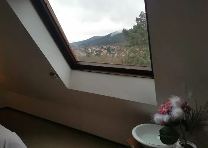 1 Terrasse Et Piscine