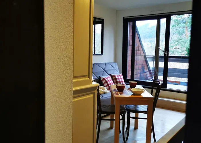1 Terrasse Et Piscine Appartement Boersch