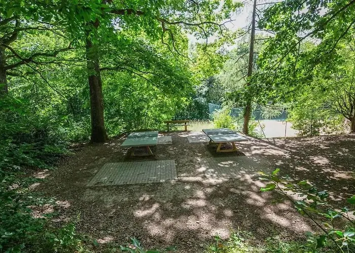 1 Terrasse Et Piscine *