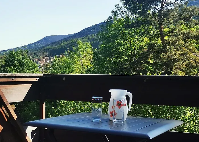 1 Terrasse Et Piscine