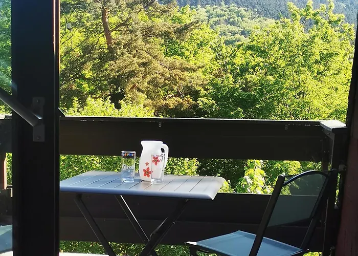 1 Terrasse Et Piscine Appartement Boersch