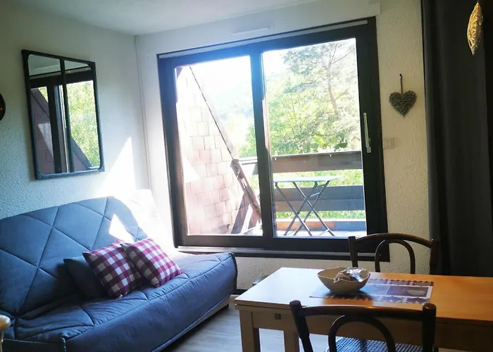 1 Terrasse Et Piscine * Boersch