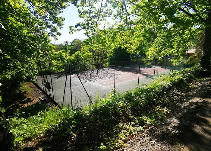 1 Terrasse Et Piscine Appartement *